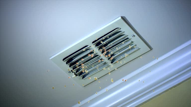 Best Best Air Duct Cleaning Near Me  in Bradley Gardens, NJ